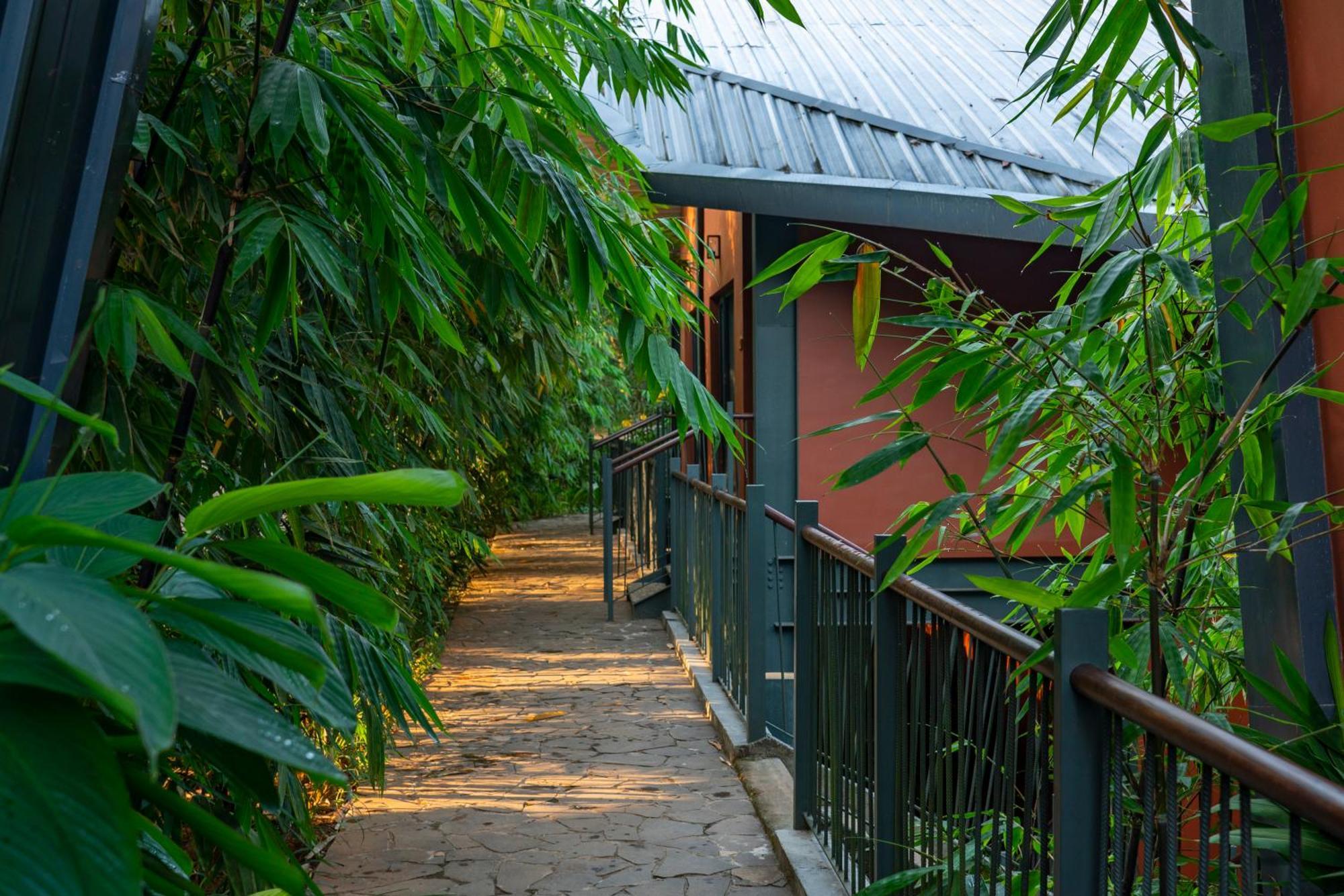Vyna Hillock Resort And Spa Vythiri Bagian luar foto